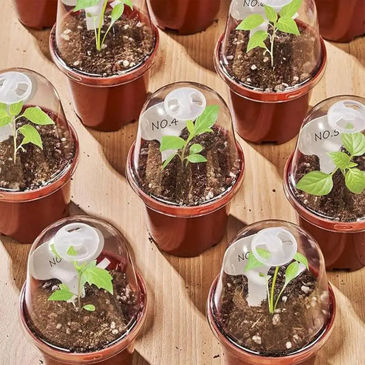 10Pcs Small Flower Pot Nursery Pot with Humidity Dome Transparent Gardening Pot Flower Starting Pots with Bottom Drainage Holes