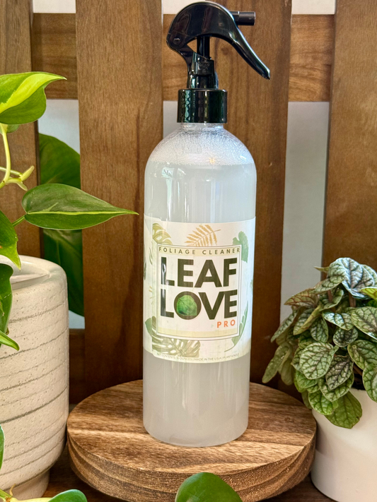 Leaf Love – Gentle Leaf Cleaner